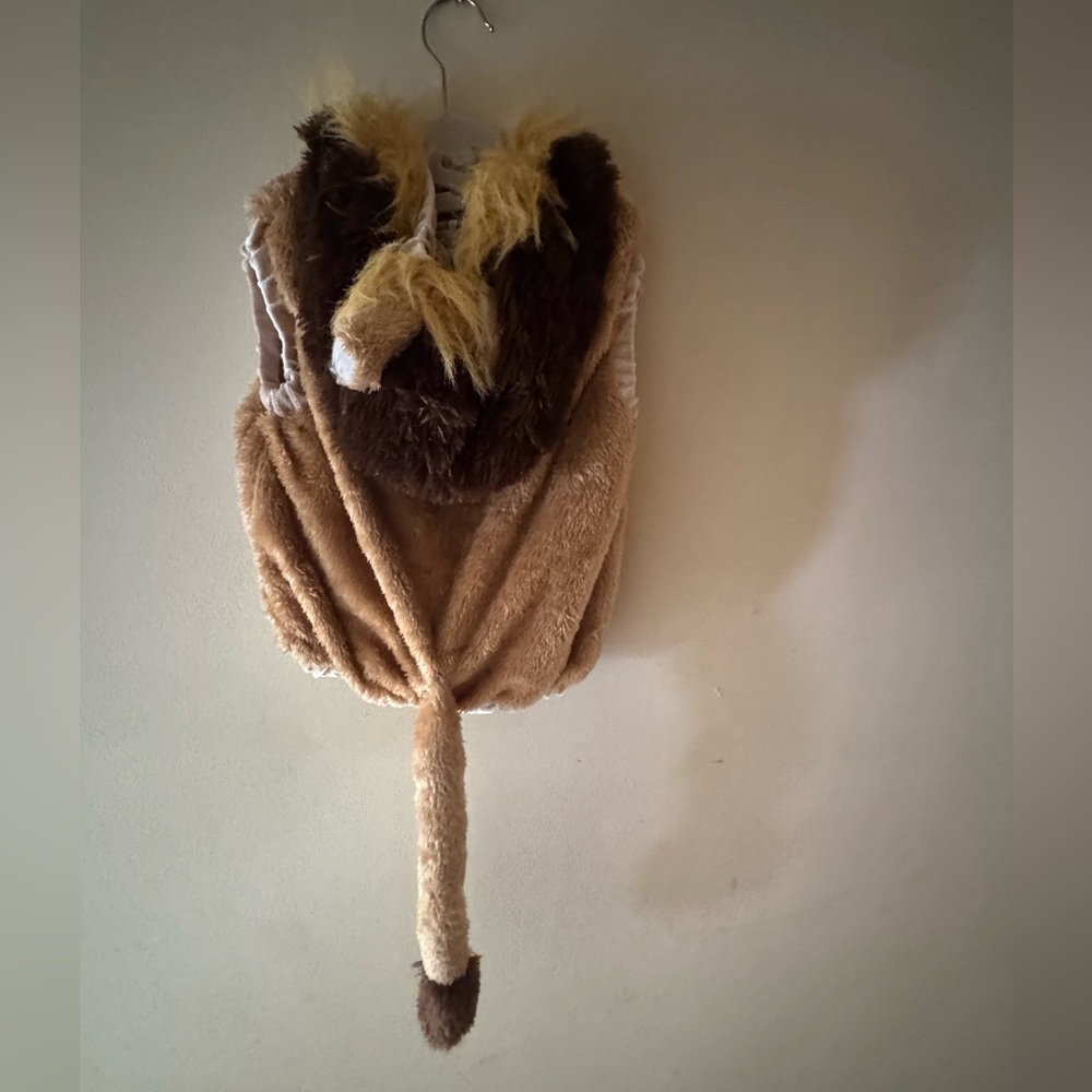 Adorable Lion Bubble Costume2-4 T